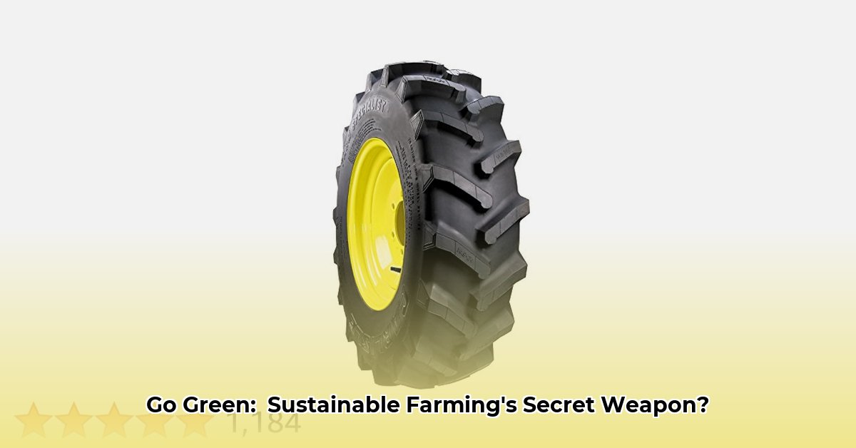 9-5-24-tractor-tire